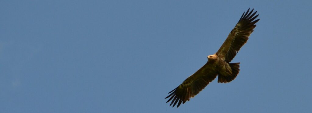 33963855_1767364113302579_6396840233857449984_o - kopie (2)