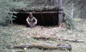 Commentaires des utilisateurs