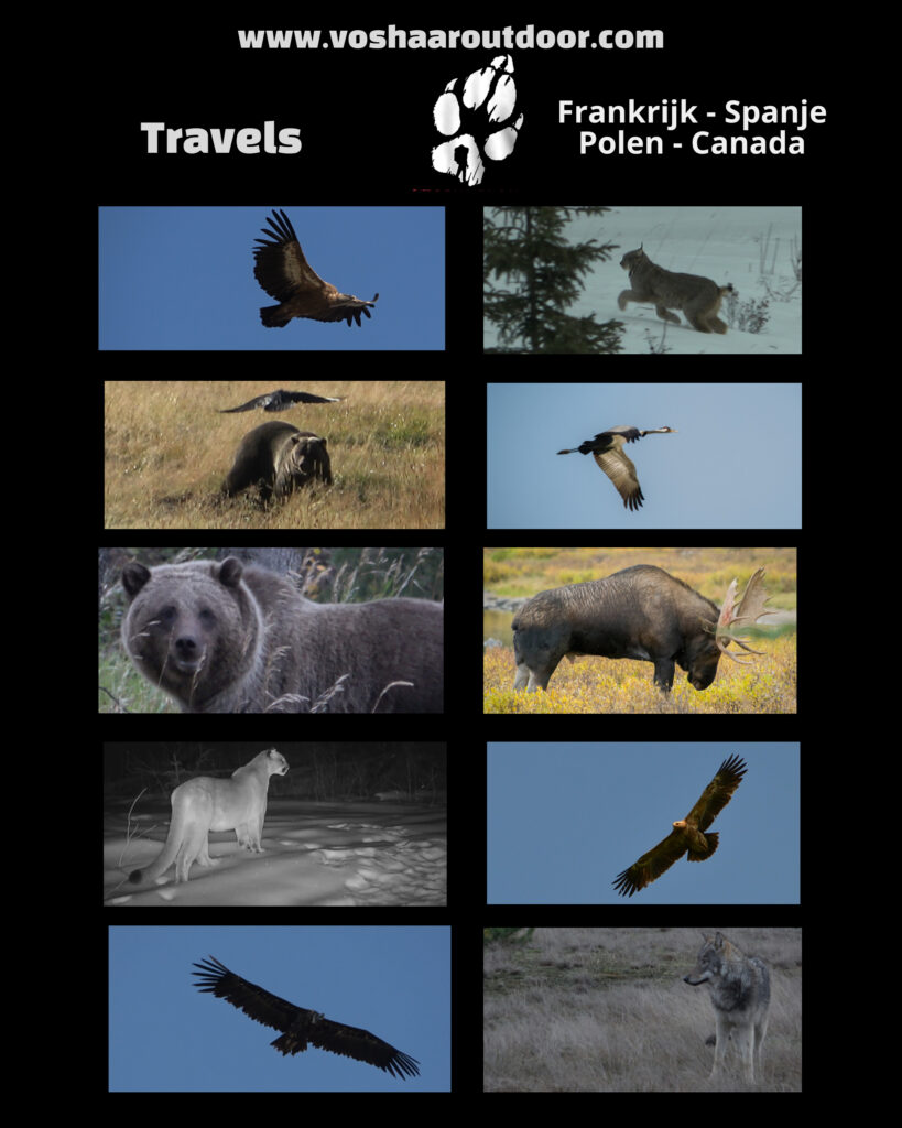 Travels